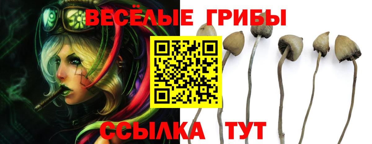 Псилоцибиновые грибы мухоморы Каменка